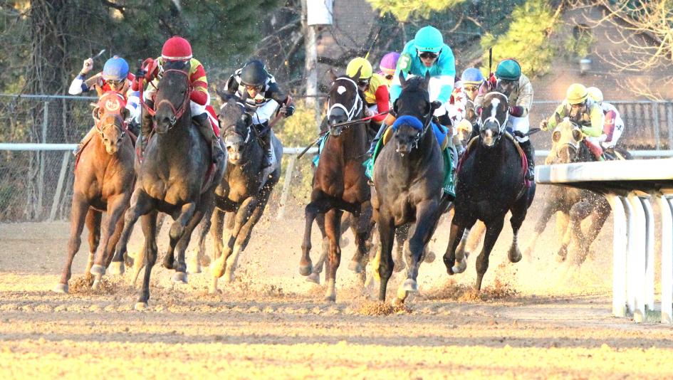 Historical Trends to Help Bet the 2026 Rebel Stakes