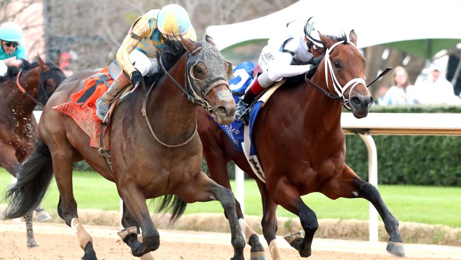 Class President, Rebel Stakes, Oaklawn Park, Kentucky Derby, Silent Tactic, Litmus Test, Todd Pletcher, John Velazquez, Mark Casse, Blackout Time, prep, Uncle Mo, WinStar Farm, horse racing, ABR
