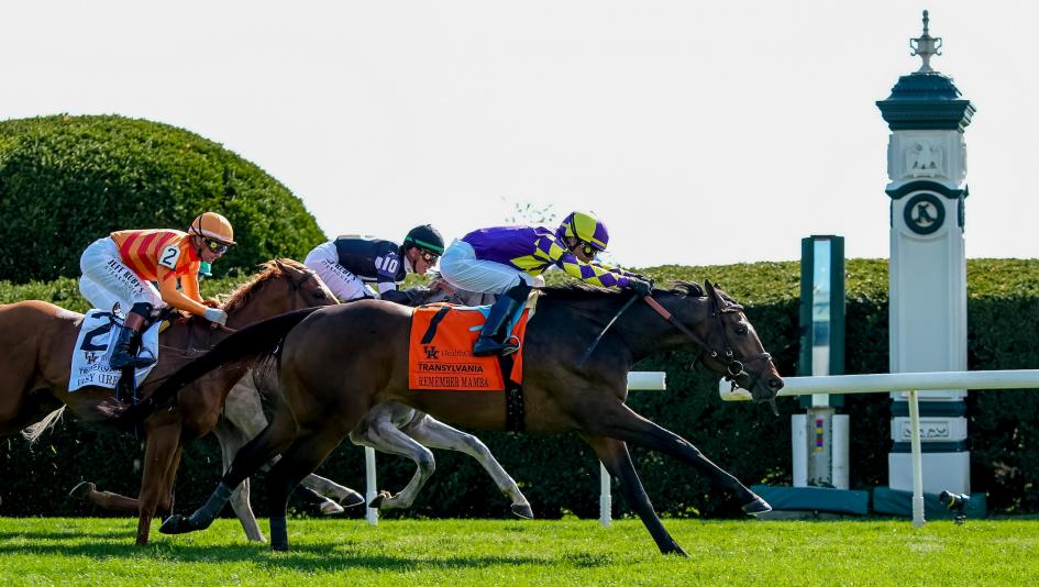 Bryan Station Stakes, Keeneland, turf, Blackout Time, McCready, Blinging It Back, Bottas, Infiltrate, Conducted, Remember Mamba, Aces Honor, Fancy Sailor, Immortalised, Touch of Fire, Alpyland, Casse, DeVaux, betting, gambling, horse racing, ABR