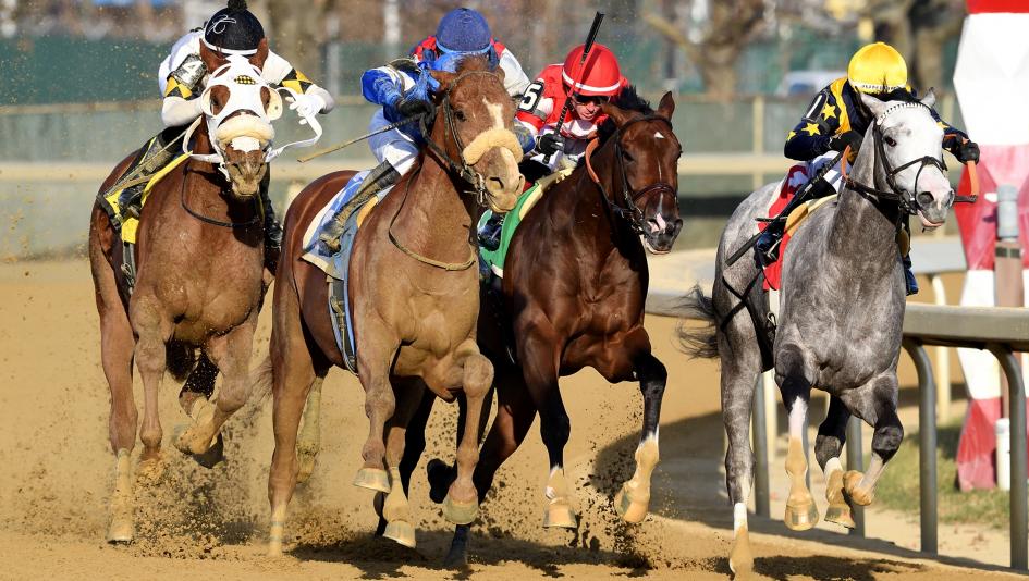 Remsen Stakes, Aqueduct, Kentucky Derby, trifecta, betting, gambling, horse racing, Paladin, Flavien Prat, Renegade, Talkin, Courting, Curlin, pedigree, Cavorting, prep, ABR