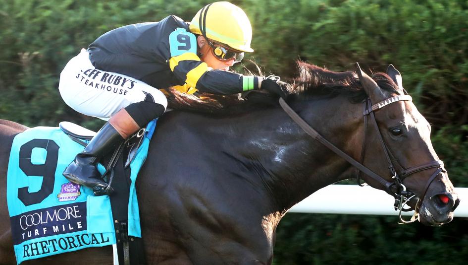 Rhetorical, Coolmore Turf Mile, Keeneland, Breeders’ Cup Mile, Win and You’re In, Wachtel Stable, Cheyenne Stable, Gary Barber, Will Walden, trainer, Irad Ortiz, jockey, Not This Time, pedigree, turf, speed figures, horse racing, gelding, ABR