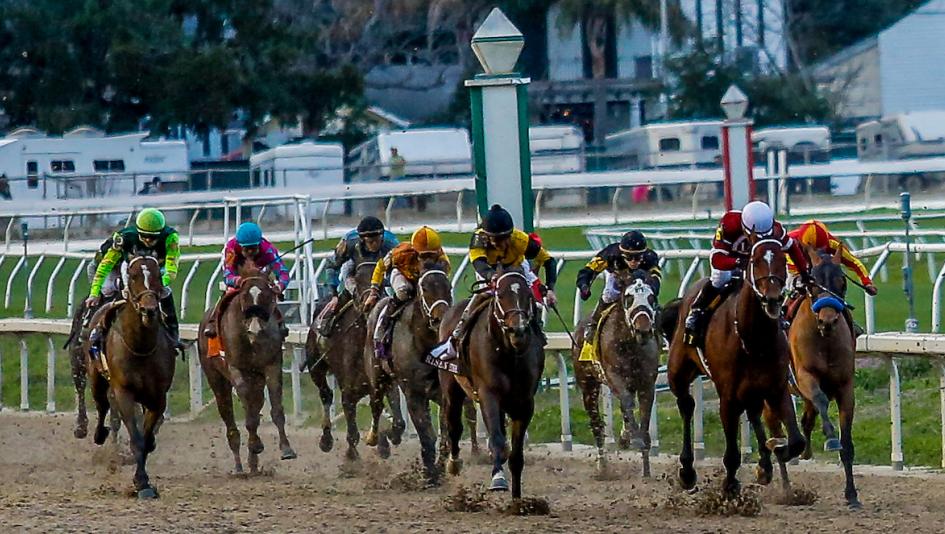 Risen Star Stakes, Kentucky Derby, gambling, Paladin, Golden Tempo, Courting, Quality Mischief, Universe, Carson Street, Chip Honcho, win, exacta, betting, Equibase Speed Figure, prep, Fair Grounds, horse racing, ABR
