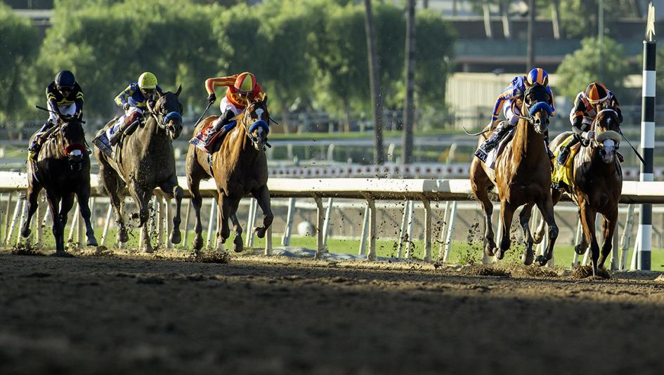 Derby Dozen, King, BloodHorse, Kentucky Derby, Further Ado, Paladin, Nearly, Commandment, Litmus Test, Brant, Silent Tactic, Plutarch, Renegade, Canaletto, Blackout Time, Golden Tempo, horse racing, Triple Crown, ABR 