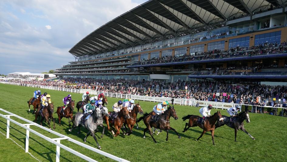 Royal Ascot, England, Ascot, horse racing, turf, King Charles, Queen Elizabeth, tradition, fashion, TV, FanDuel, NBC, Peacock, Wesley Ward, Patrick Biancone, Shisospicy, Jose D’Angelo, George Weaver, Carl Spackler, Yulong Investments, ABR Royal Ascot, England, Ascot, horse racing, turf, King Charles, Queen Elizabeth, tradition, fashion, TV, FanDuel, NBC, Peacock, Wesley Ward, Patrick Biancone, Shisospicy, Jose D’Angelo, George Weaver, Carl Spackler, Yulong Investments, ABR