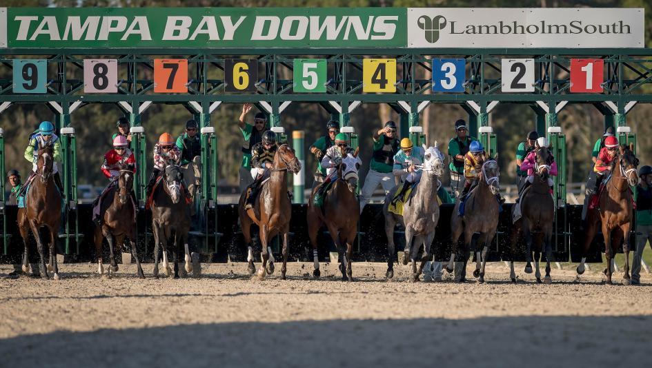 Haskin’s Derby Dozen for Feb. 15 America's Best Racing