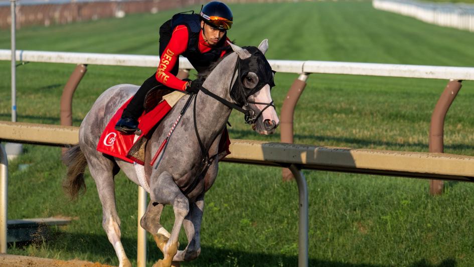 Sandman, West Point Thoroughbreds, Mark Casse, West Point Thoroughbreds, Terry Finley, owner, trainer, Preakness Stakes, Sovereignty, Tony Schino, coach, training, Griffin Johnson, blinkers, ABR
