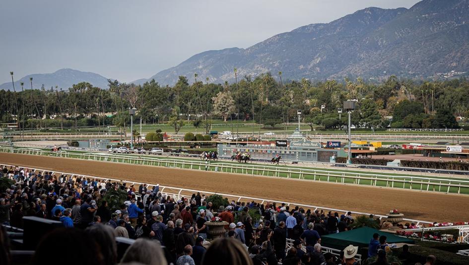 Santa Anita Park, Breeders’ Cup, preps, Win and You’re In, horse racing, racetrack, history, record, trainer, Bob Baffert, Beholder, Zenyatta, D. Wayne Lukas, Steve Martinelli, weather, surface, dirt, turf, training, juvenile, Citizen Bull