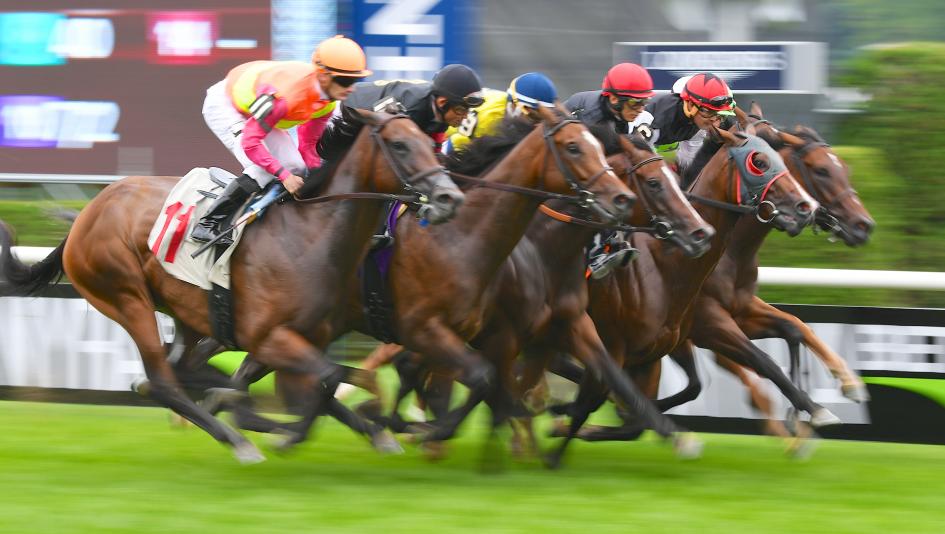 Ten Facts About Racehorses You Need to Know  America\u002639;s Best Racing