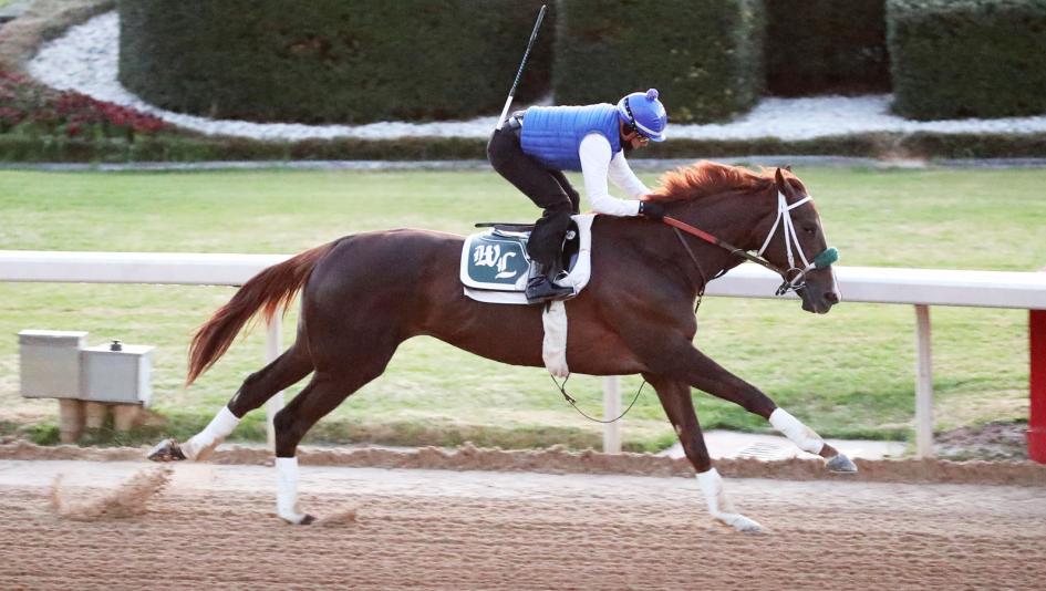 SMARTY JONES CLASSIC PHILLY PARK HORSE RACE PROGRAM & 8" by 10" PHOTO 
