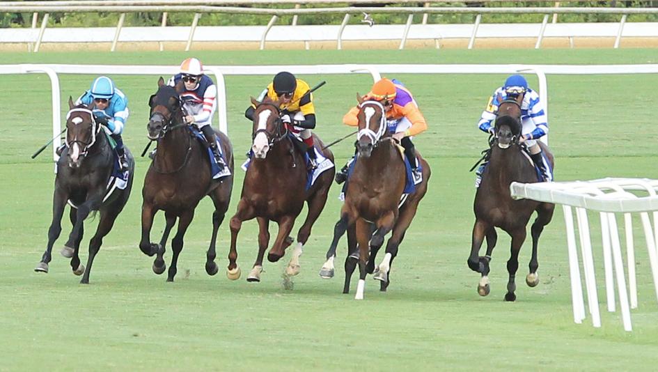 Secretariat Stakes, Colonial Downs, turf, Turf Star, Conducted, Supercharger, Fuzzbuster, Vino Solo, Infiltrate, Street Beast, Redland Rebels, Alpyland, Arlington, jockey, trainer, Casse, Castellano, Walsh, Gaffalione, DeVaux, Franco, Motion, Velazquez