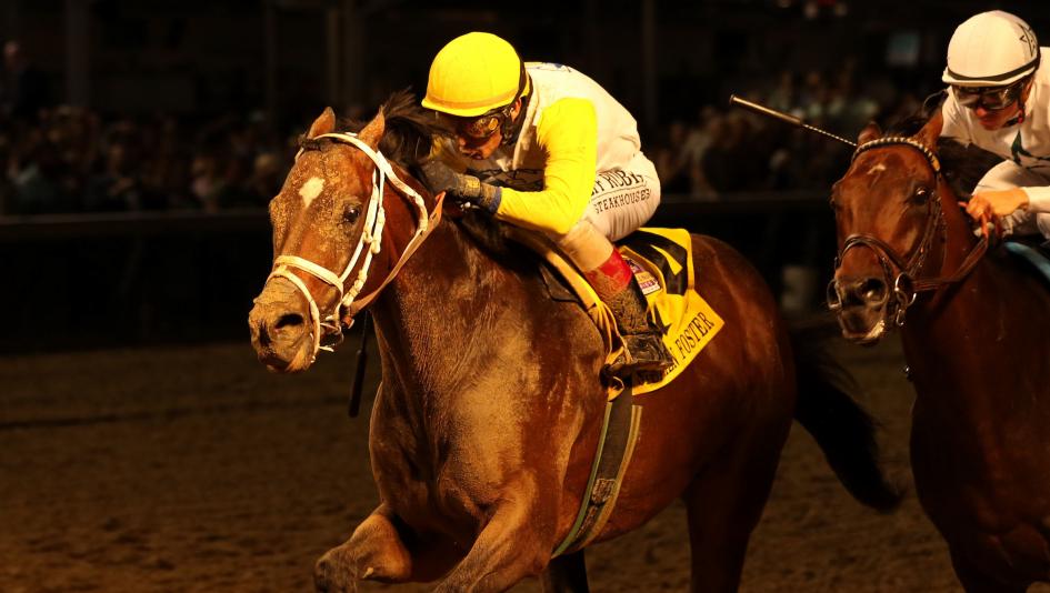 Seeking the Soul Punches Breeders’ Cup Classic Ticket with Stephen Foster Victory