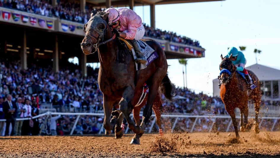 Sierra Leone Fulfills High Expectations with Breeders' Cup Classic