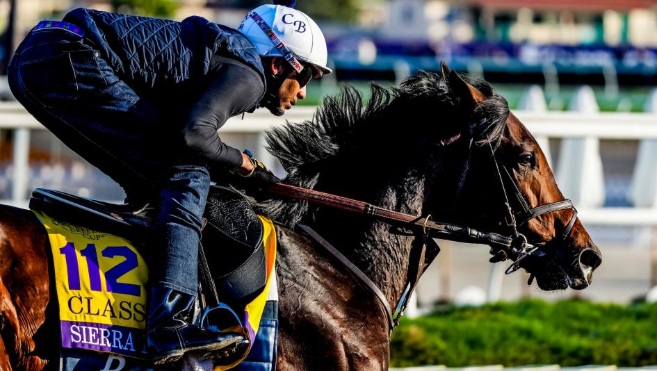 Whitney Stakes, Saratoga, gambling, betting, win, handicapping, Contrary Thinking, Fierceness, Post Time, White Abarrio, Disarm, Sierra Leone, Mama’s Gold, Mindframe, Highland Falls, Skippylongstocking, Todd Pletcher, John Velazquez, Irad Ortiz, ABR