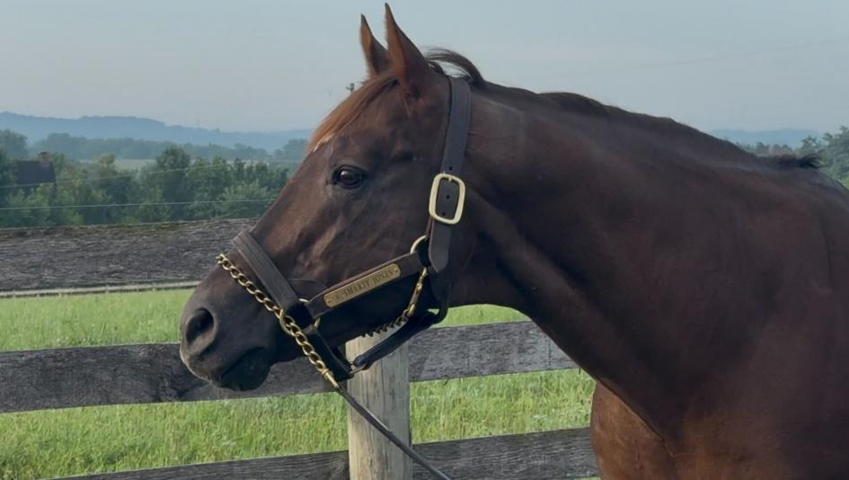 Hall of Fame Inductee Smarty Jones Still Going Strong