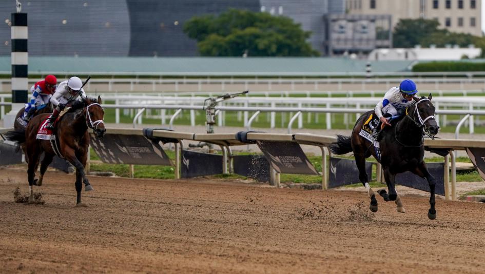 Solitude Dude Can Carry His Speed to Victory in Fountain of Youth Stakes