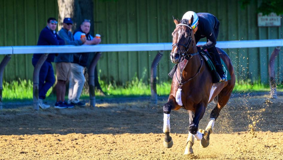 Horse Racing Heavyweights: An Early Look at the 2026 Stephen Foster Stakes Field
