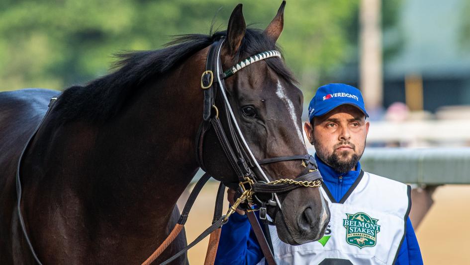 Sovereignty, Kentucky Derby, Belmont Stakes, 3-year-old, Travers Stakes, Michael Banahan, Godolphin, Bill Mott, owner, trainer, FanDuel, Bredar, horse racing, colt, Into Mischief, Eclipse Award, ABR