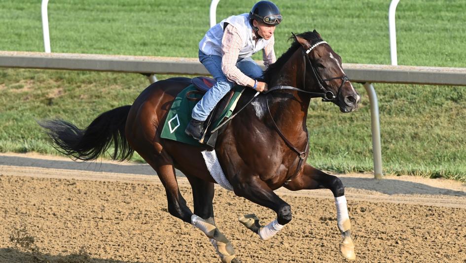 Travers Stakes, Saratoga, Sovereignty, Kentucky Derby, Belmont Stakes, Magnitude, Bracket Buster, Strategic Focus, McAfee, Mott, Alvarado, Godolphin, owner, jockey, trainer, Velazquez, Prat, Saez, Asmussen, Curtis, favorite, horse racing, ABR