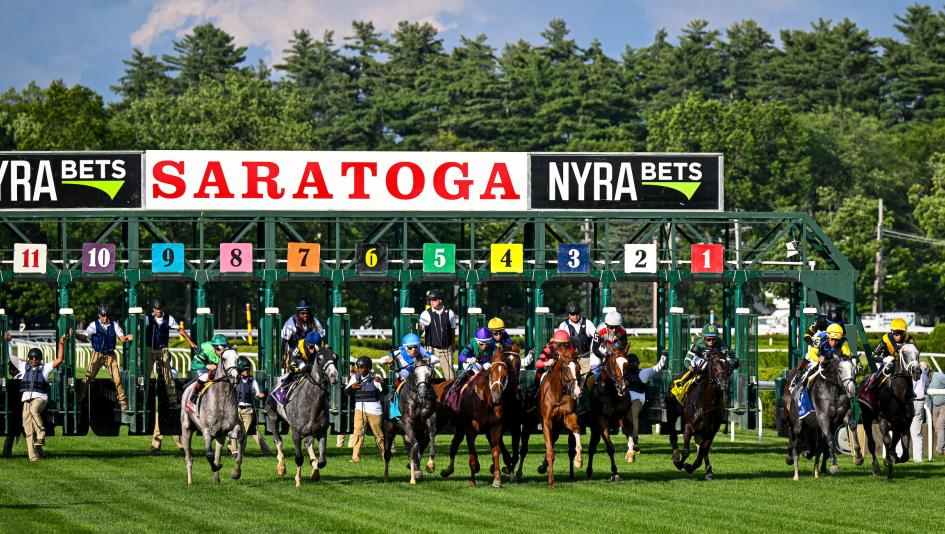 Noel’s Weekend Winners: Doubling Down on Turf Saturday at Saratoga