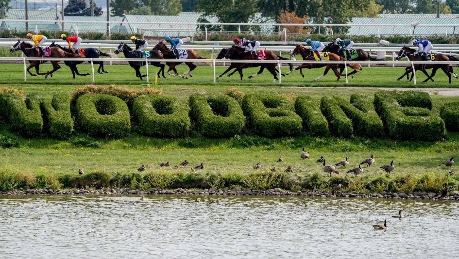 Summer Stakes, Glance, Breeders’ Cup, Juvenile Turf, Big Money Man, Let Em Know, Oscar, Bounce Back, Play It Again, Nicki Knows Best, Quipster, Sword Salute, Al Hudaiba, Voyager, Speaker’s Speech, Induction, jockey, trainer, horse racing, ABR