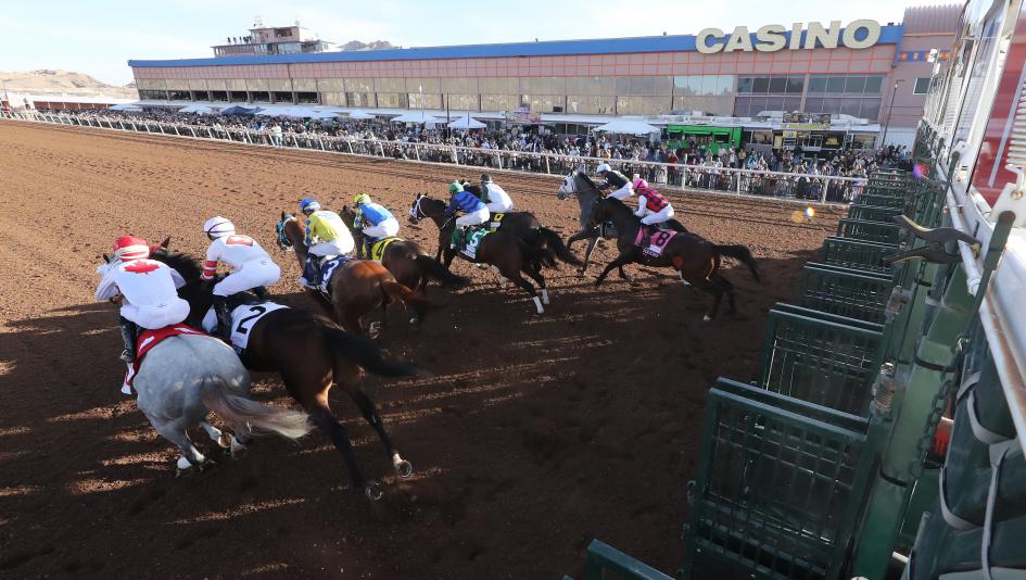 Sunland Park Derby, Sunland, New Mexico, Kentucky Derby, horse racing, Express Kid, Sharons Beach, Pavlovian, Forty Twenty, Way Beyond, Bricklin, Daneyko, Buntus Foclora, trainer, jockey, prep, horse racing, ABR, glance