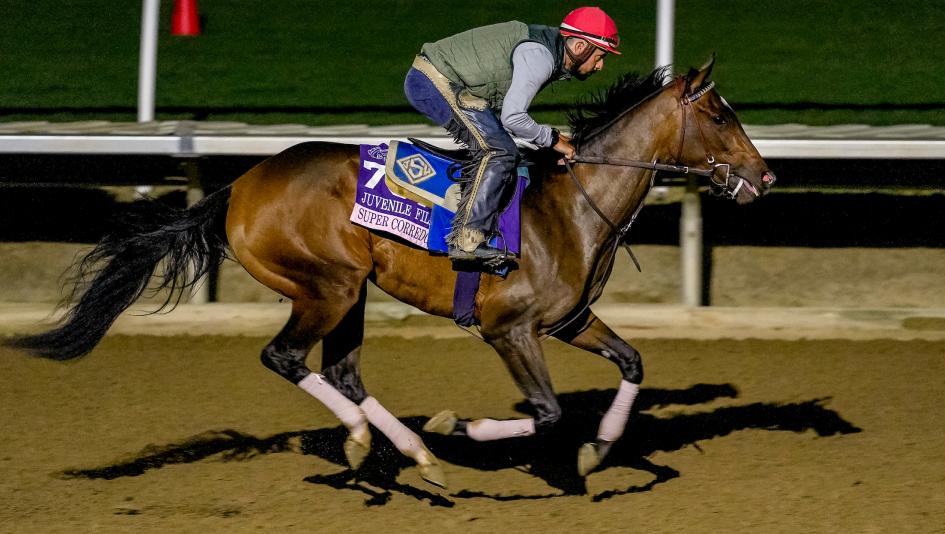 Breeders’ Cup, Juvenile Fillies, filly, fillies, gambling, exacta, betting, Super Corredora, John Sadler, Iron Orchard, Bottle of Rouge, longshot, Meaning, Percy’s Bar, Tommy Jo, Explora, La Wally, Del Mar, Gun Runner, horse racing, ABR  Breeders’ Cup, Juvenile Fillies, filly, fillies, gambling, exacta, betting, Super Corredora, John Sadler, Iron Orchard, Bottle of Rouge, longshot, Meaning, Percy’s Bar, Tommy Jo, Explora, La Wally, Del Mar, Gun Runner, horse racing, ABR