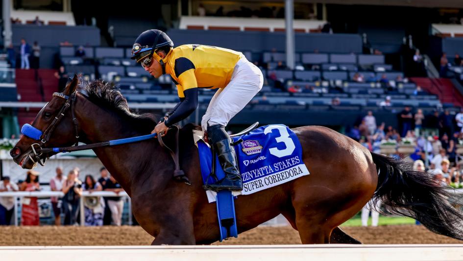 Key Takeaways from Racing News Five Weeks Out From Breeders’ Cup