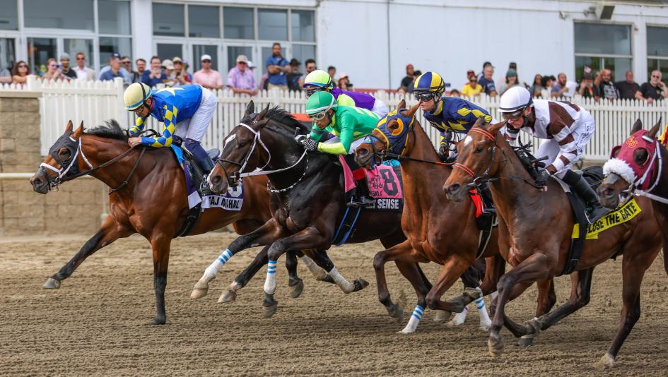 Preakness Stakes, Glance, Laurel Park, Taj Mahal, Ocelli, Crupper, Robusta, Talkin, Chip Honcho, The Hell We Did, Bull by the Horns, Iron Honor, Napoleon Solo, Corona de Oro, Incredibolt, Great White, Pretty Boy Miah, jockey, trainer, horse racing, ABR