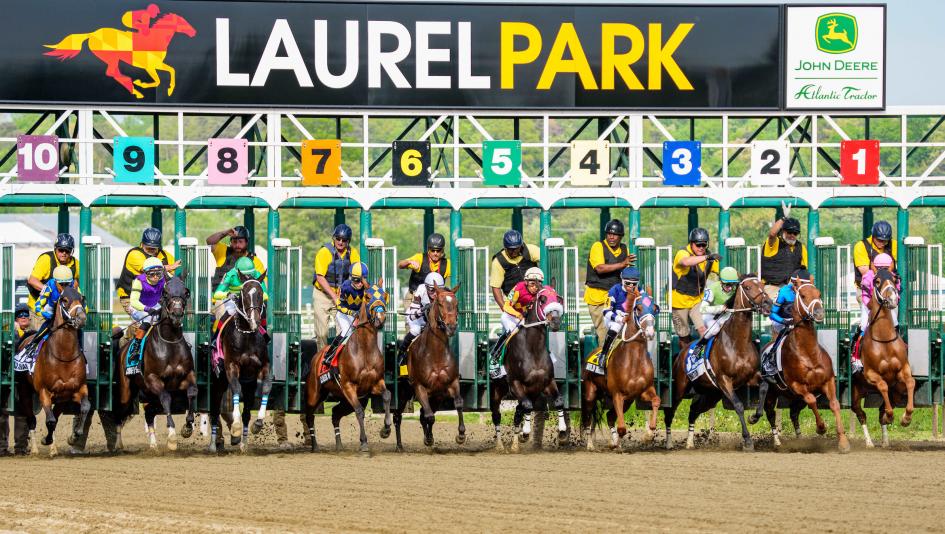 TV, television, radio, Preakness Stakes, Laurel Park, NBC, NBCSN, Peacock, streaming, FanDuel TV, Black-Eyed Susan Stakes, FOX Sports, FS2, RTN, Gulfstream, Churchill, Aqueduct, Woodbine, HRRN, ABR