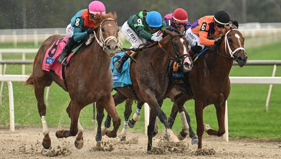 Derby Dozen, Kentucky Derby, Bloodhorse, Cherokee Nation, Reagan’s Honor, Potente, The Puma, Further Ado, Renegade, Class President, Commandment, Chief Wallabee, Silent Tactic, Nearly, Paladin, horse racing, ABR