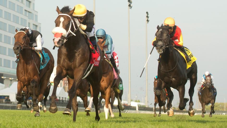 Summer Stakes, Woodbine, Win and You’re In, Breeders’ Cup, Juvenile Turf, turf, Argos, Bill of Ice, Casson, Jupiter, Marcus J, Rude Procedure, Teddy’s Rocket, Thesecretadversary, Timeframe, Two Out Hero, Wild Desert, Military Time, ABR
