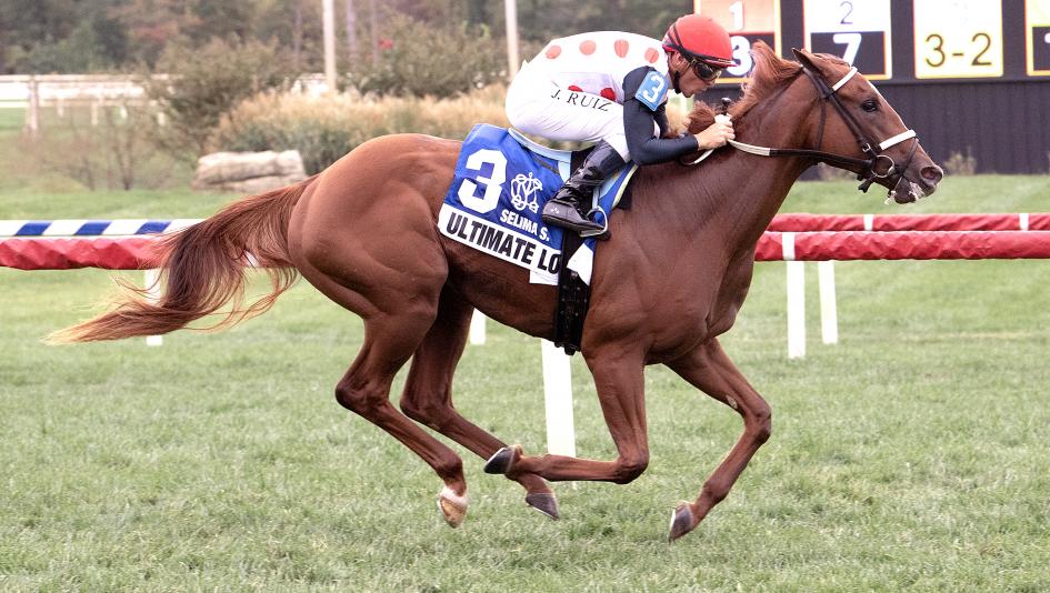 Ultimate Love, Breeders’ Cup, Juvenile Fillies, filly, turf, Laurel Park, Selima Stakes Michael Trombetta, trainer, Live Oak Plantation, Jorge Ruiz, Curlin, My Typhoon, breeding, pedigree, undefeated, speed figure, Equibase, horse racing, ABR