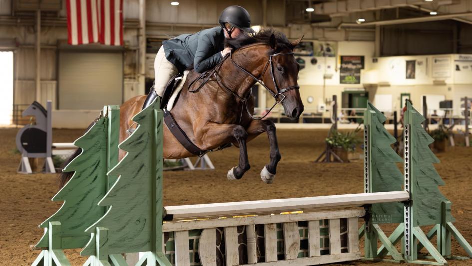 Teddy Spaghetti, OTTB, ex-racehorse, retired racehorse, Thoroughbred Makeover, competition, jumping, hunter, jumper, New Jersey, Thoroughbred Spectacular, Patriotic Party, retraining, schooling, trainer, ABR