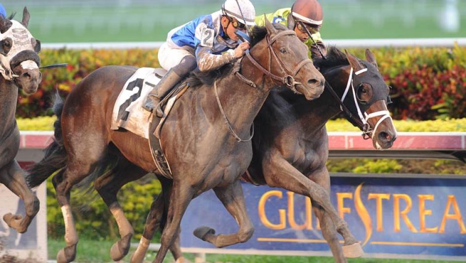 Aiming for nice Tampa Bay Derby score on 20 Budget America's Best Racing