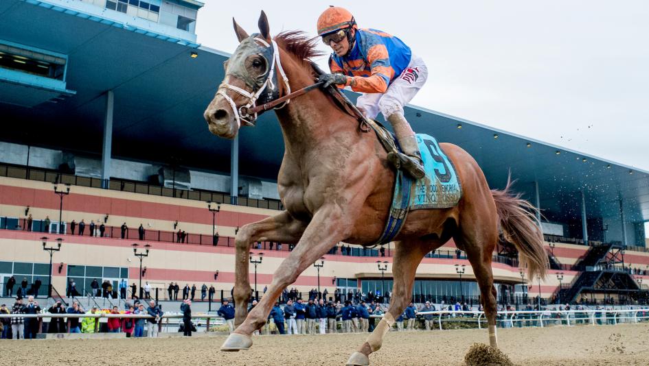 Stars of Yesterday: Looking Back at Best Wood Memorial Winners