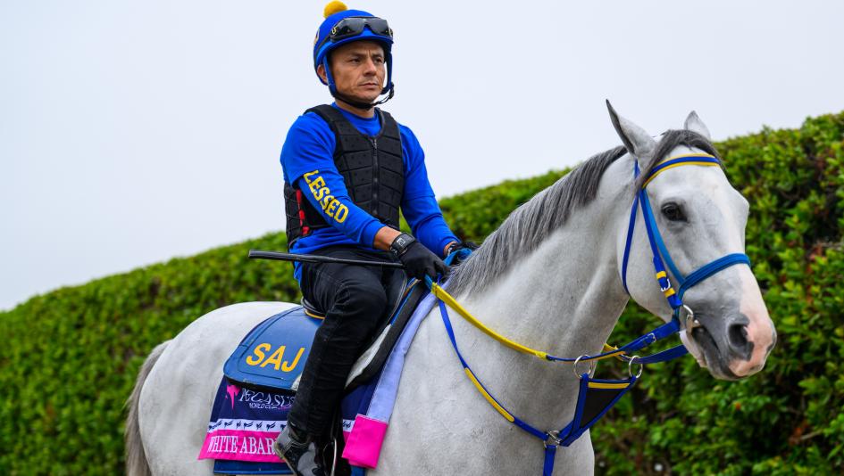 White Abarrio Gets Slight Edge Over Sovereignty and Journalism in Oaklawn Handicap 