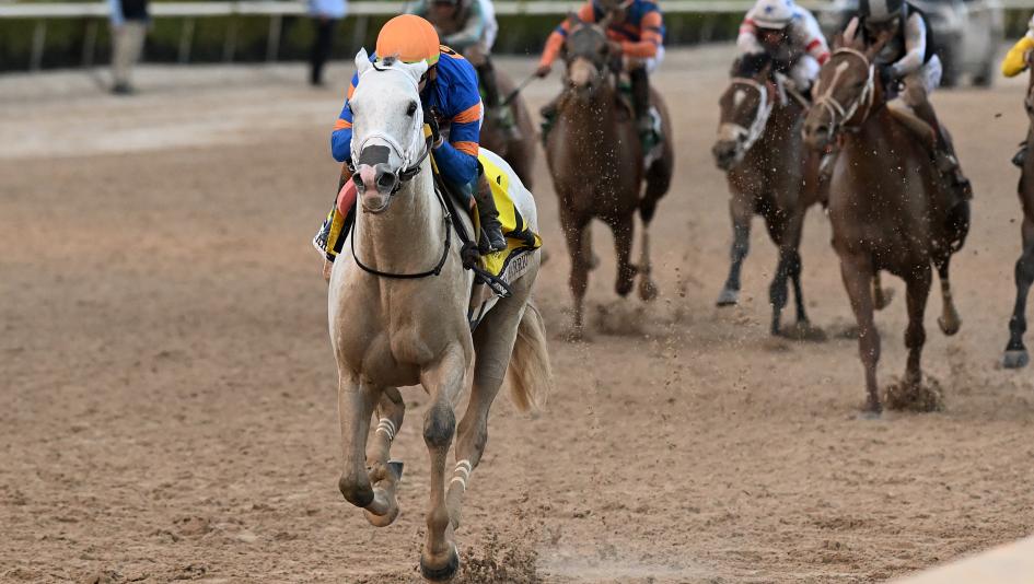 An Early Look at the Probable Field for the 2026 Pegasus World Cup