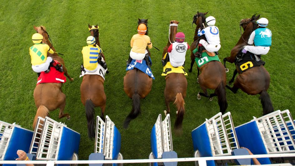 TV, television, radio, streaming, Woodbine, Mile, Iroquois, Kentucky Derby, Churchill Downs, Kentucky Downs, Gulfstream Park, Meadowlands, Louisiana Downs, Laurel Park, Byk, HRRN, FOX Sports, FanDuel TV, RTN, horse racing, ABR
