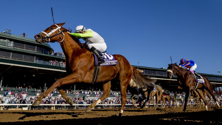 Monomoy Girl, Breeders’ Cup Distaff, Sol Kumin, Eclipse Sportswire Monomoy Girl, Breeders’ Cup Distaff, Sol Kumin, Eclipse Sportswire