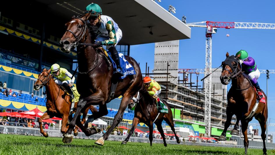 2026 Canadian Stakes at a Glance