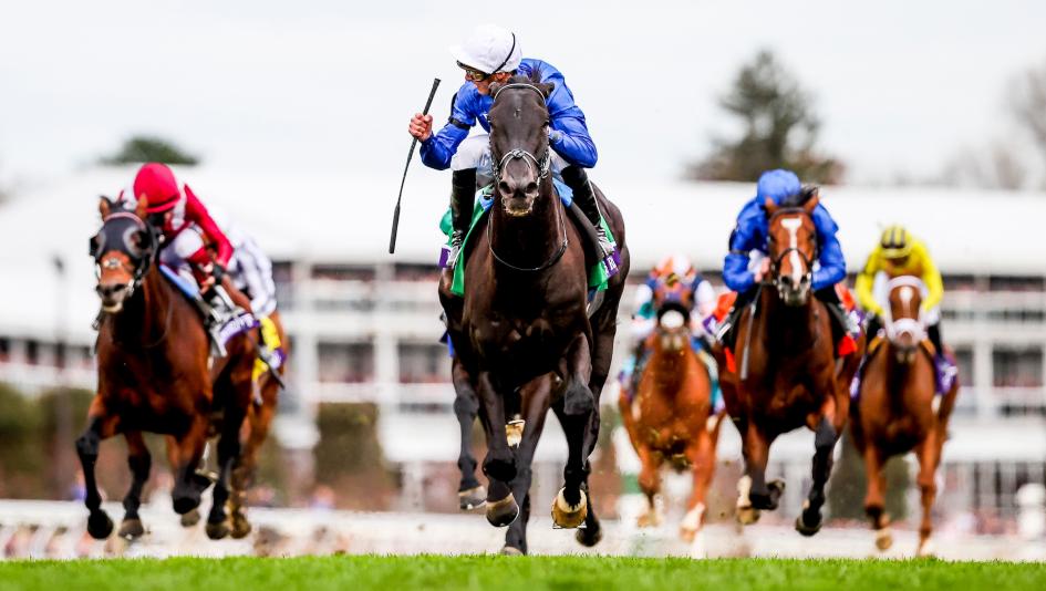 Using History as a Guide to Betting the 2025 Breeders’ Cup Turf