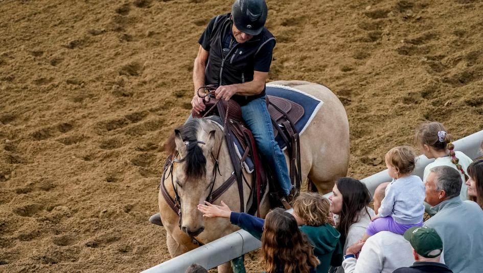 Meet Flashy Pony Uncle Buck, the Baffert Barn’s Eye-Catching New ...