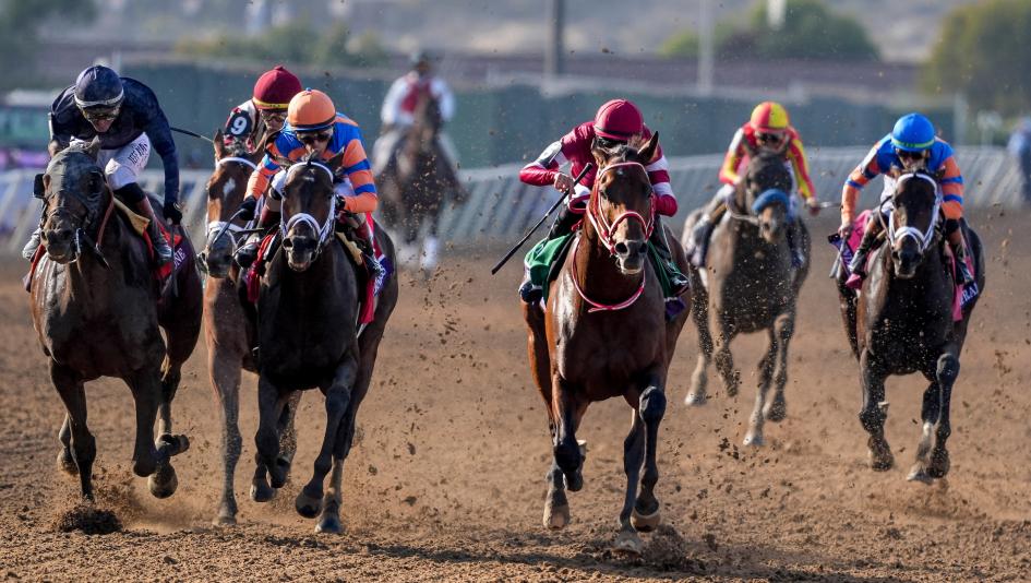 Forever Young, Breeders' Cup Classic, Keeneland, Breeders' Cup, horse racing, America's Best Racing, ABR