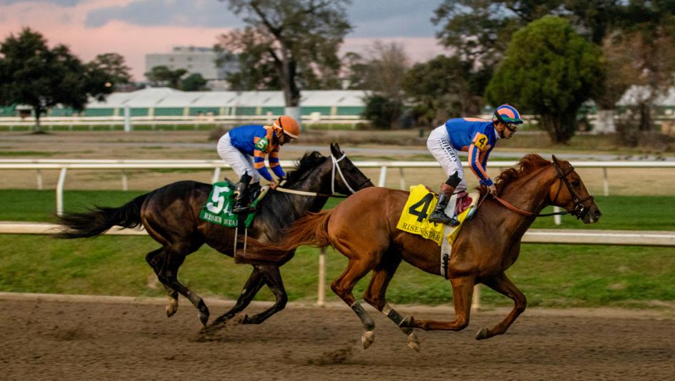 2026 Kentucky Derby, Triple Crown, Paladin, Nearly, NTRA 3-year-old poll, ABR, America's Best Racing, Triple Crown, horse racing