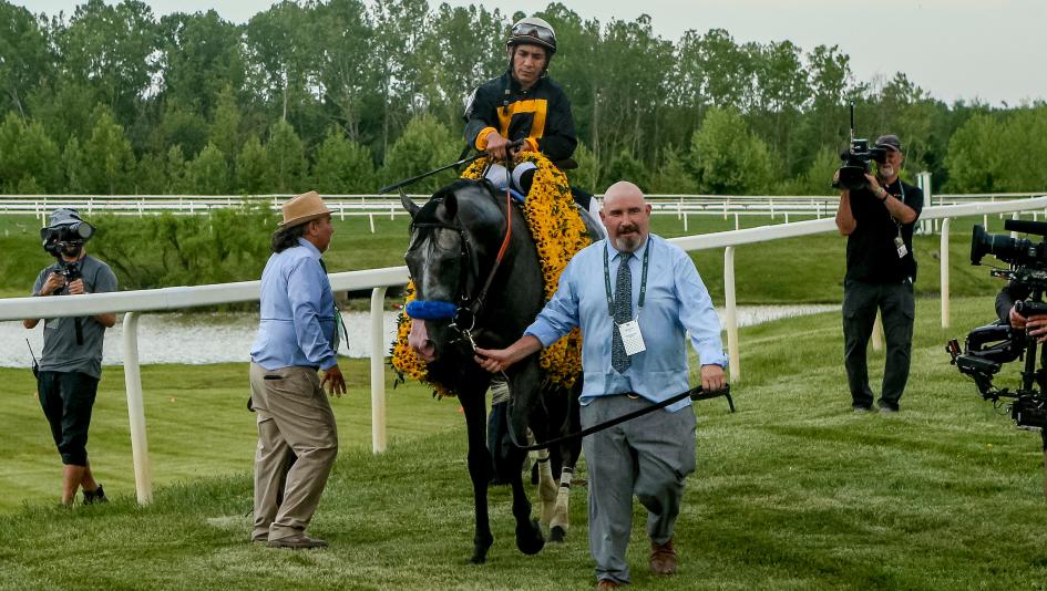 Napoleon Solo Soars Up Equibase Leaderboard, Irad Ortiz Jr. Eclipses $15 Million in Earnings
