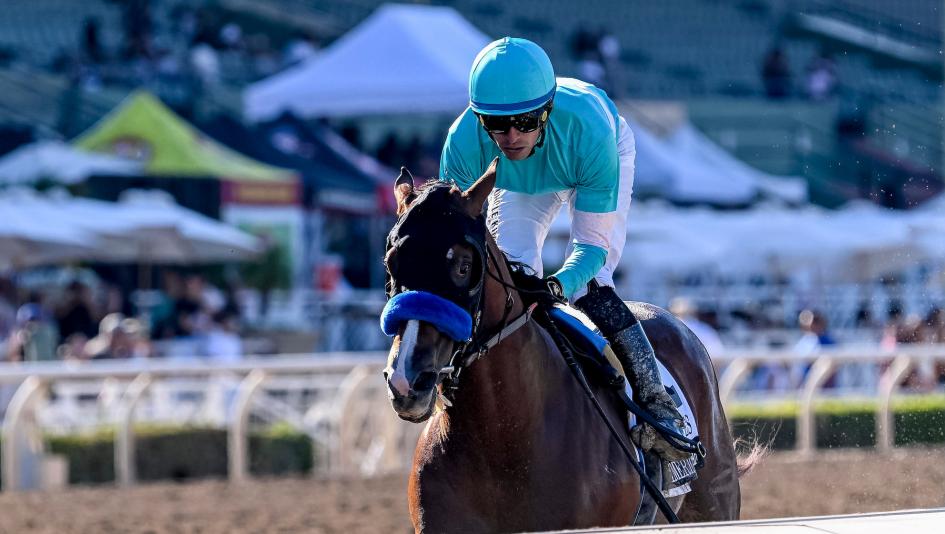 Hughes, Thought Process, Domain Expansion Dominate in Breeders' Cup Preps at Santa Anita