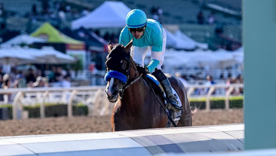 Hughes, Bob Baffert, Rookie Rankings, Kentucky Derby, Triple Crown, horse racing, America's Best Racing, ABR