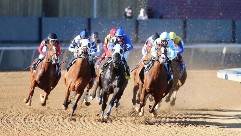 Betting Guide for the 2024-’25 Oaklawn Park Meet: Key Track Trends to ...