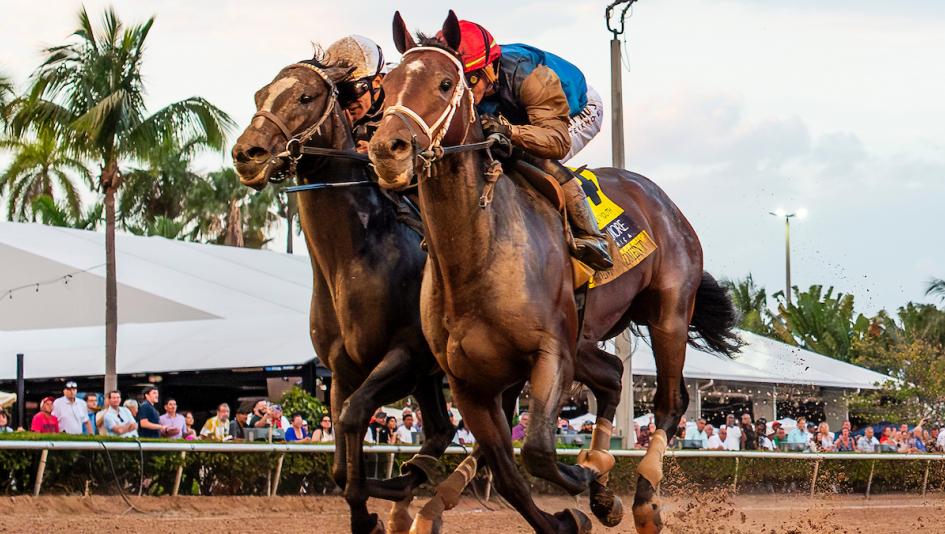 Commandment, 2026 Kentucky Derby, Triple Crown, NTRA 3-year-old poll