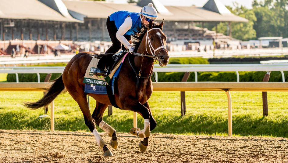Commandment, Belmont Stakes, Triple Crown, Saratoga Race Course, horse racing, America's Best Racing, ABR